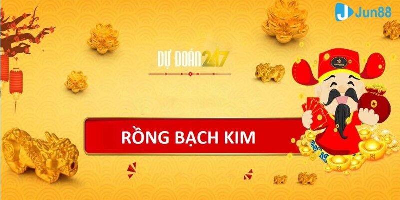 Tìm hiểu thêm về soi cầu rồng bạch kim cho người mới bắt đầu