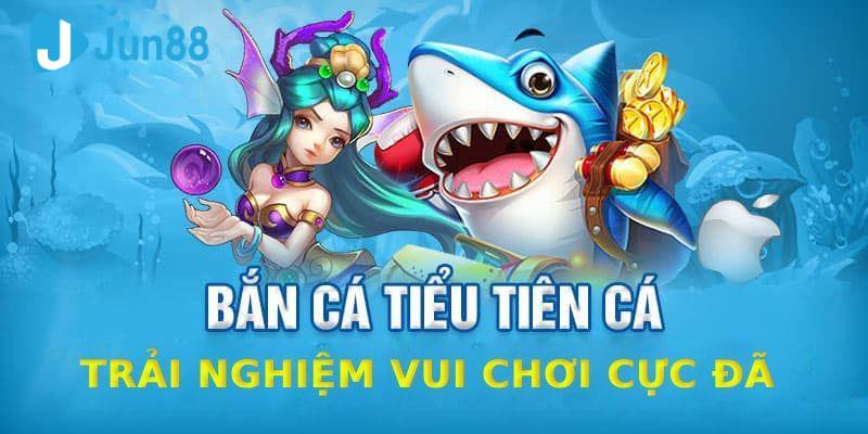 Một vài thông tin khái quát về game săn cá tiểu tiên cá